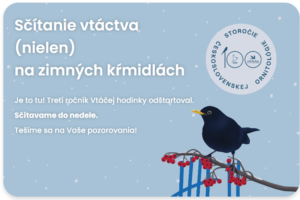 začala sa vtáčia hodinka BSK: Začala sa Vtáčia hodinka