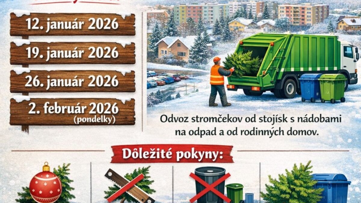 Mesto Trenčianske Teplice: Zber vianočných stromčekov v Trenčianskych Tepliciach