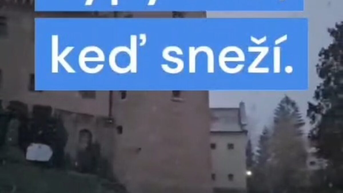 ZOO BOJNICE: Typy ľudí, keď sneží…