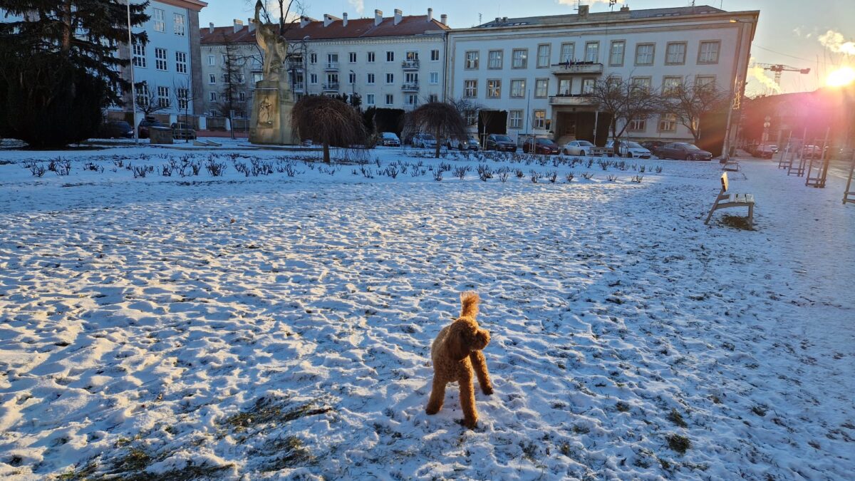 Mesto Piešťany: Mesto Piešťany updated their cover photo.