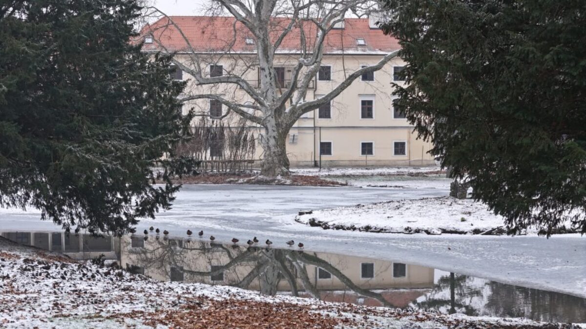 BSK: Ako v rozprávke. Stupavský kaštieľsky park pod snehom