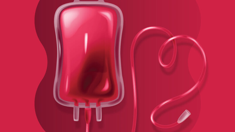 Mesto Zvolen: ZAČNIME NOVÝ ROK ZMYSLUPLNE