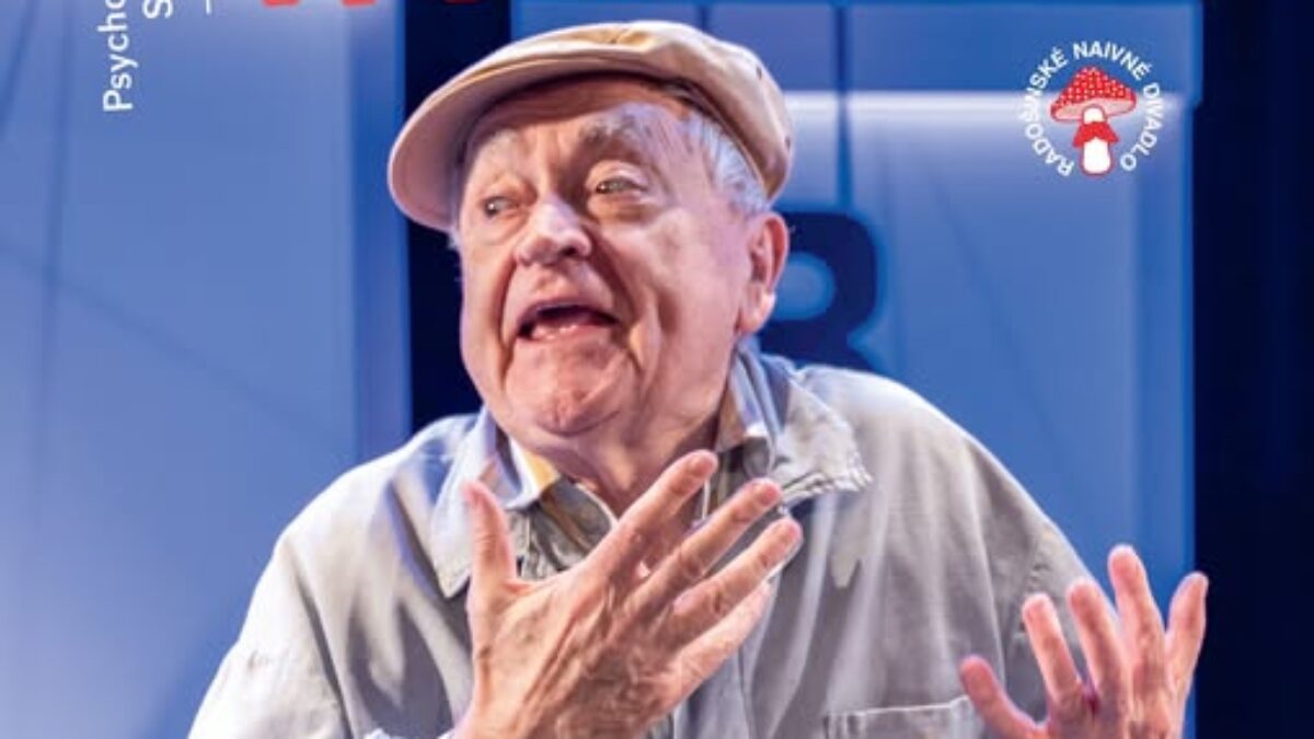 Mesto Nové Mesto nad Váhom: Radošinské naivné divadlo: PAVILÓN B