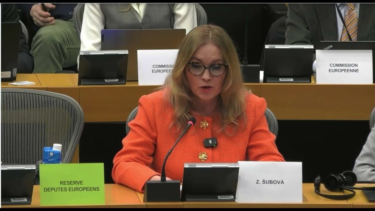 Celé vyjadrenie Zuzany Šubovej na zasadnutí výboru v europarlamente!