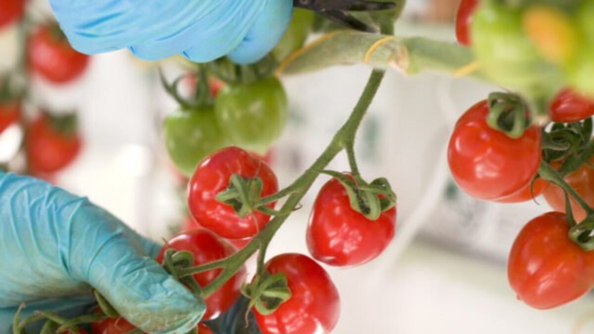 Kvalita bez kompromisov sa oplatí