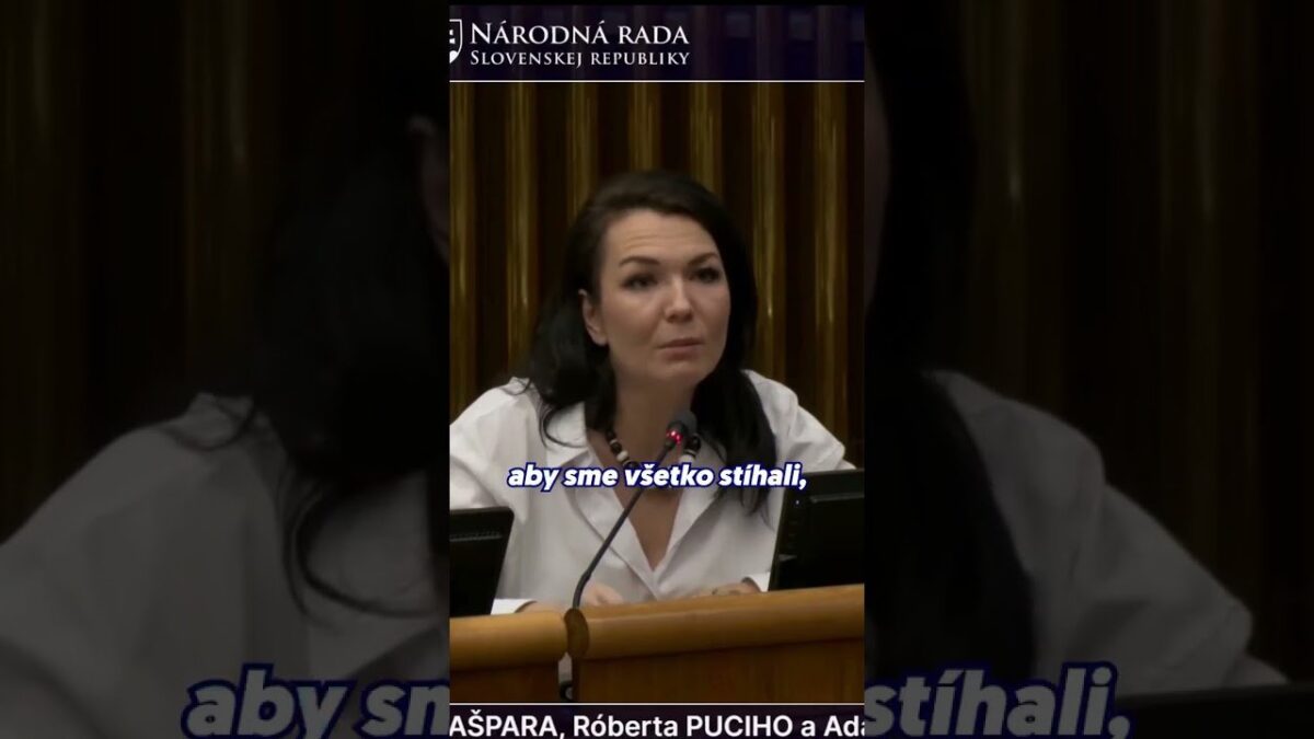 Parlament nestíha? Mám návrh | Beáta JURÍK