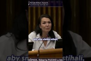 Parlament nestíha? Mám návrh | Beáta JURÍK