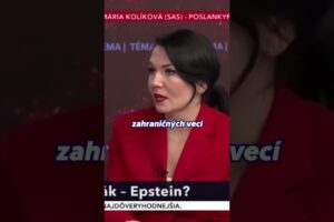 Kauza Epsteinových spisov odhaľuje dve dôležité veci | Beáta JURÍK