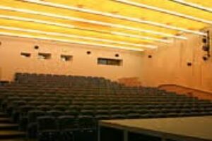 Mesto Piešťany: FEBRUÁR V KINE FONTÁNA