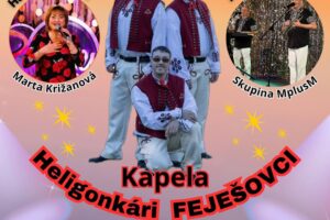 Kultúra Topoľčany: POZÝVAME VÁS NA KONCERT S HELIGÓNKOU NA CESTÁCH.