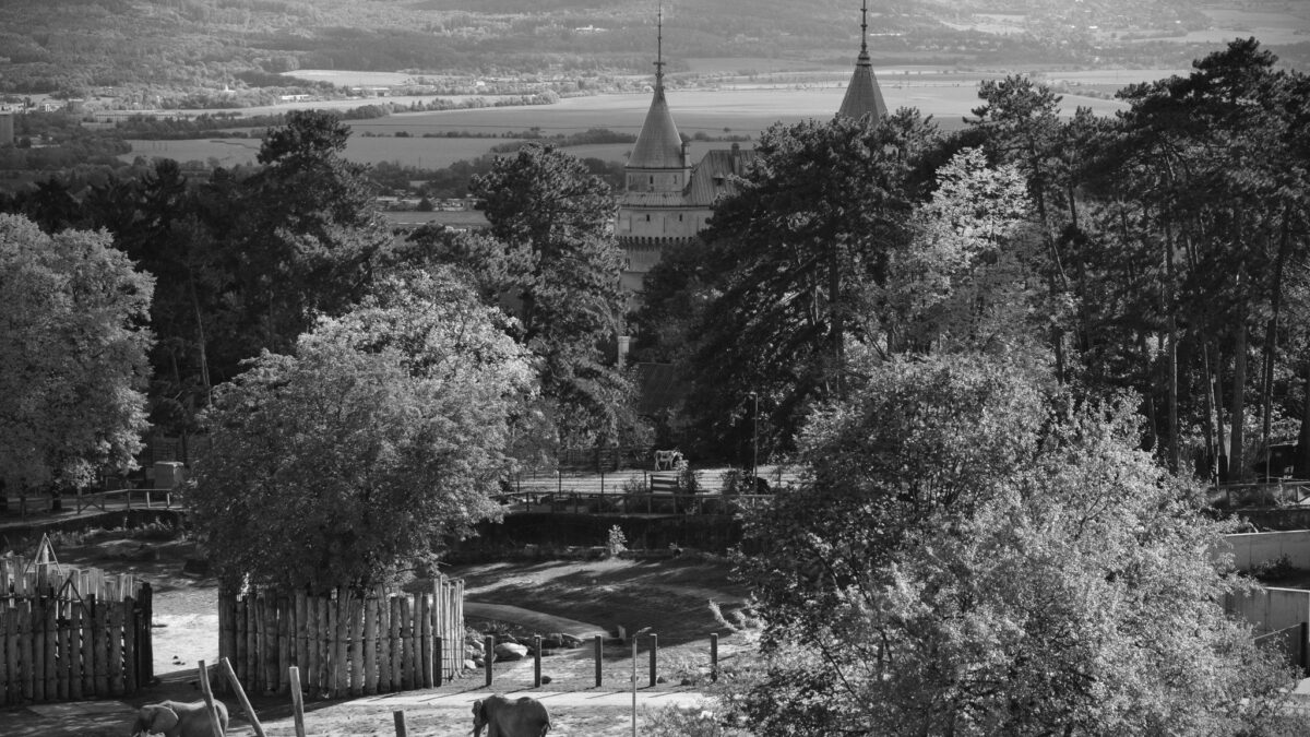 ZOO BOJNICE: Smutná správa z Národnej zoo Bojnice