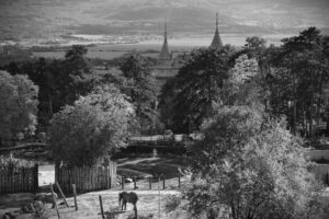 ZOO BOJNICE: Smutná správa z Národnej zoo Bojnice