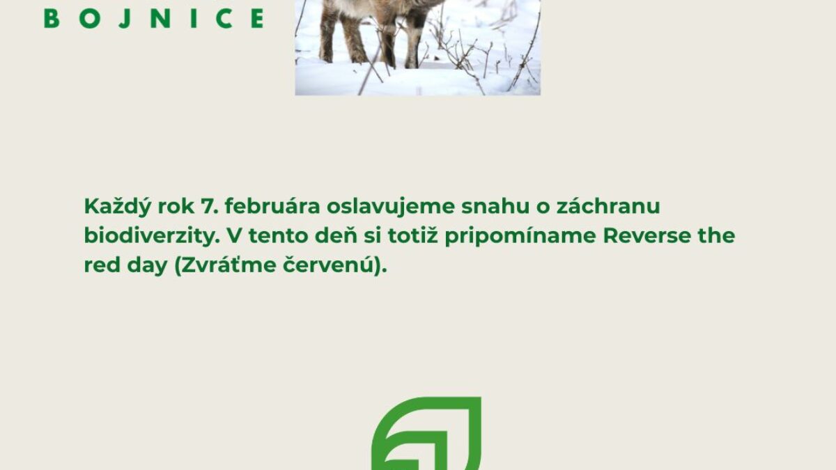 ZOO BOJNICE: Každý rok 7. februára oslavujeme snahu o záchranu biodiverzity. V tento deň si totiž pripomíname Reverse the red day (Zvráťme červenú).