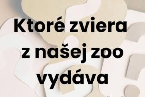 ZOO BOJNICE: \u2753H\u00c1DANKA NA V\u00cdKEND\n\ud83d\udc49Sk\u00fasite si tipn...