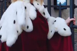 Trenčiansky hrad: Trenčiansky hrad zadarmo pre všetkých! Už 15.2.2026!