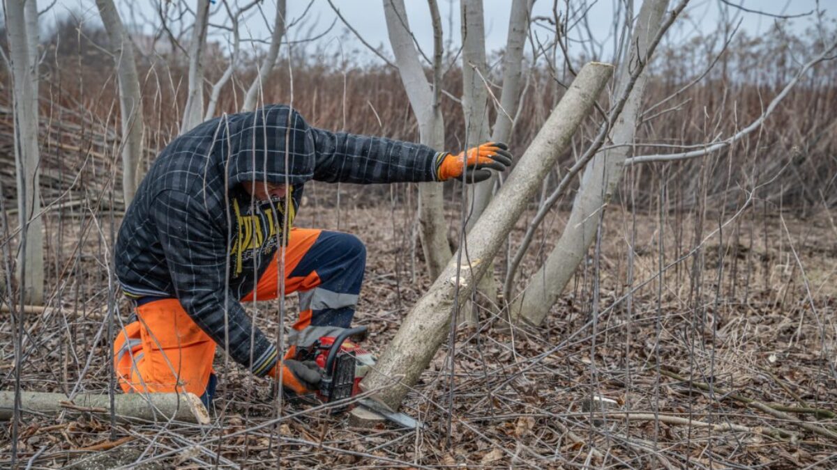 BSK: Bratislavský kraj odštartoval prípravné práce na Kampuse zdravia a športu v Petržalke