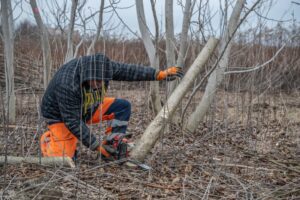 BSK: Bratislavský kraj odštartoval prípravné práce na Kampuse zdravia a športu v...