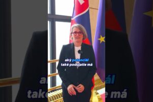 Zahodené šance, to vládam Róberta Fica ide | Dana KLEINERT ● Natália NASH ● Mich...