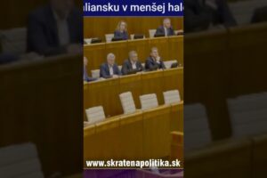 Andrej Danko: Mesterová sa odmietla ospravedlniť, že označila koalíciu za kyseli...