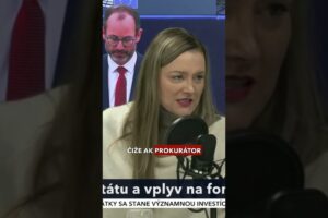 J. Laššáková: Dominus litis neznamená Pán prsteňov