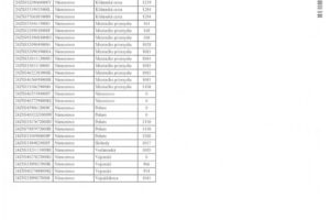 Mesto Námestovo: Oznam o prerušení elektriny