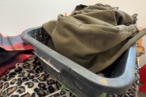 ZOO BOJNICE: Do Národnej zoo Bojnice prijali tri mláďatá medveďa hnedého