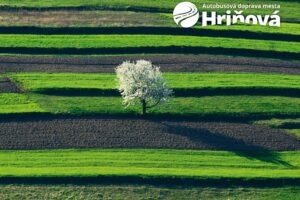 Mesto Hriňová: Milí Hriňovčania,