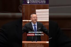 L. KAMENICKÝ: EKONOMIKA EÚ JE VĎAKA PROGRESÍVCOM V PROBLÉMOCH. SLOVENSKO POTREBU...