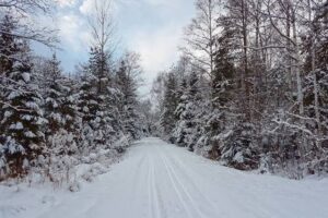 Čachtický hrad: Upozorňujeme návštevníkov, že cesta na Čachtický hrad je zasneže...
