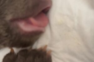 ZOO BOJNICE: AKO SME PREŽILI NOC?