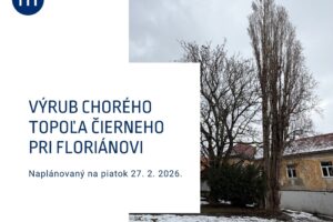 Mesto Modra: VÝRUB CHORÉHO STROMU V PARKU PRI FLORIÁNOVI Z BEPEČNOSTNÝCH DÔVODOV