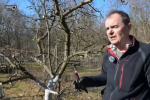 Mesto Trenčianske Teplice: JAR V ZÁHRADE