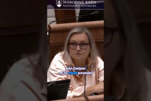 Slovensko je pre nich len korisť | Dana KLEINERT