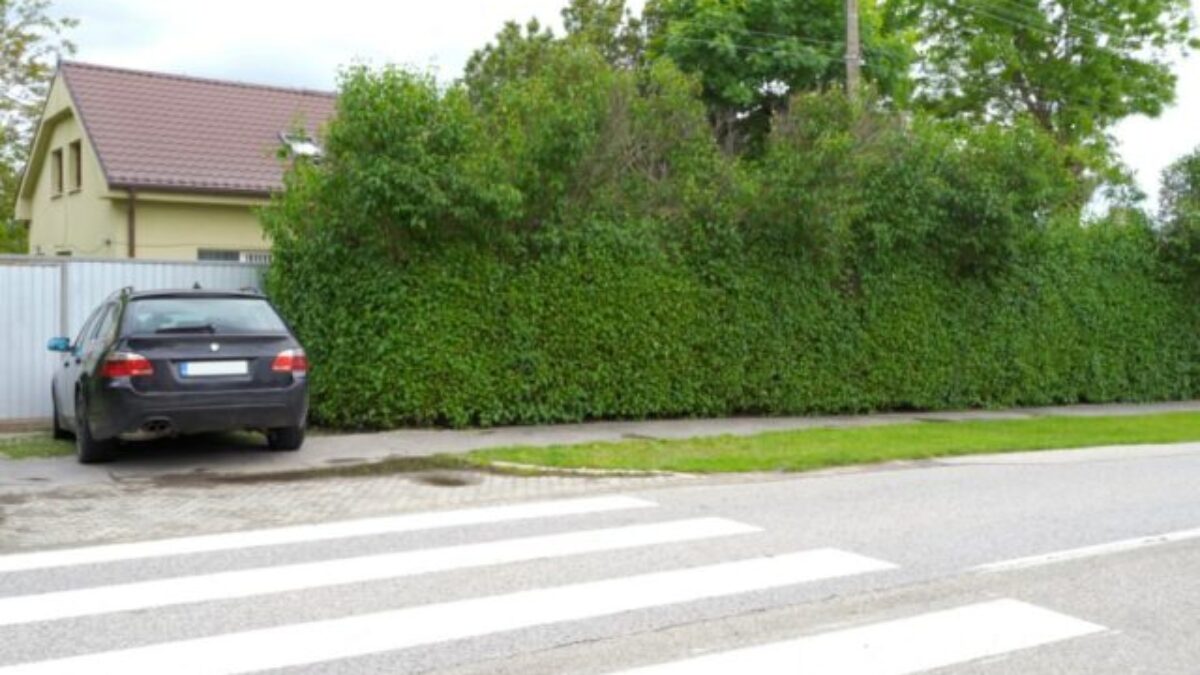 Trnavský kraj neuspel. Súd rozhodol, že Čistý deň mu nemusí vrátiť vypožičanú budovu