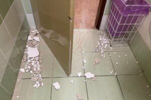 Zemetrasenie zo soboty malo ešte 32 dotrasov, seizmológovia dostali od ľudí takm...