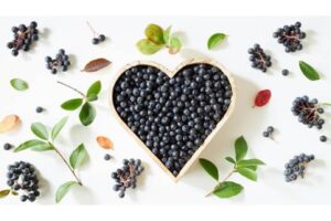 Kráľovná antioxidantov, ktorá zaujala aj vedcov: „Prečo je slovenská arónia  čís...