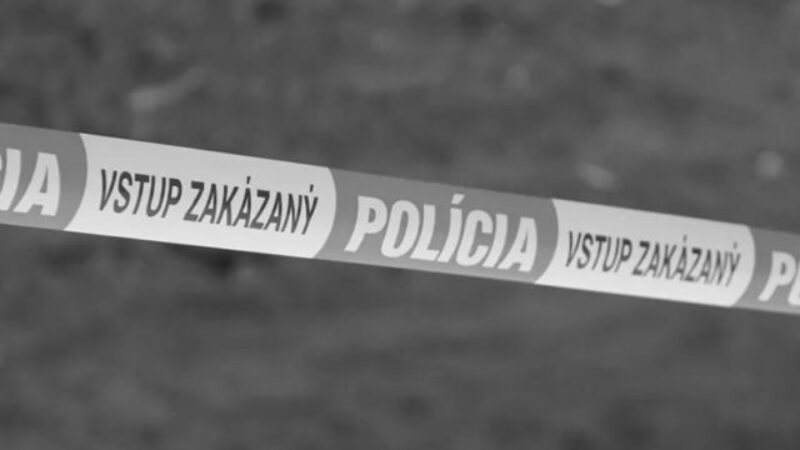 Brutálna vražda v okrese Galanta. Žena zomrela po útoku ostrým predmetom, polícia už zadržala podozrivého – FOTO