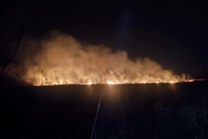 Požiar v areáli Trnavských rybníkov zamestnal hasičov, plamene zasiahli veľkú pl...