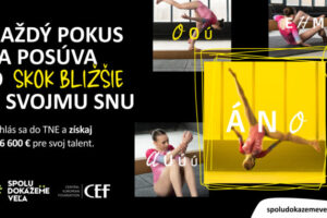 Mladé talenty si rozdelia viac ako 95-tisíc eur, maximálna výška grantu pre jedn...