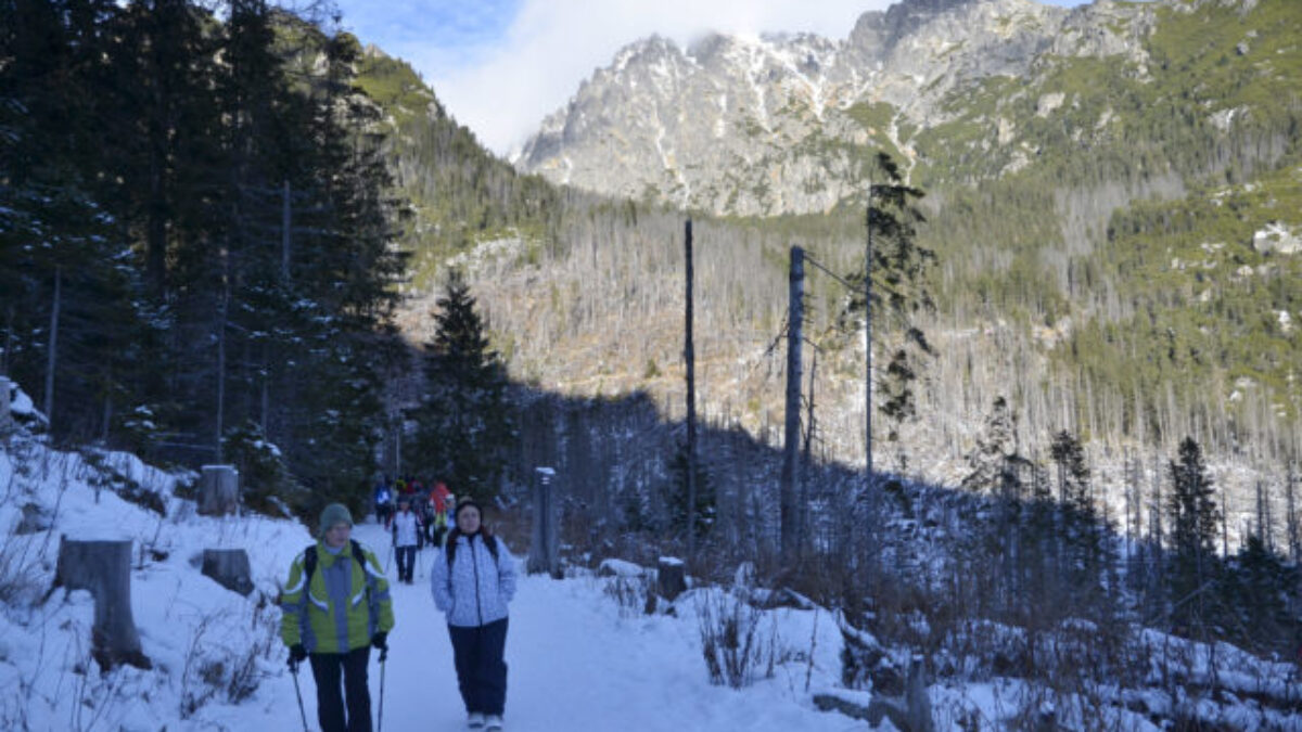 Počet ubytovaných hostí na Slovensku v januári lámal rekordy, výrazne pomohol aj záujem cudzincov