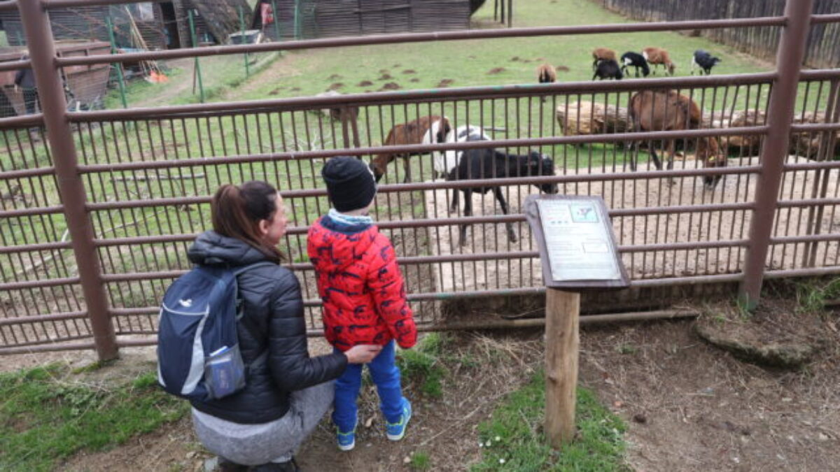 Košická ZOO chystá veľkonočný program plný zážitkov, zároveň otvorí aj 40. sezónu