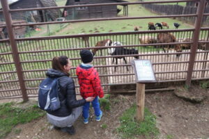 Košická ZOO chystá veľkonočný program plný zážitkov, zároveň otvorí aj 40. sezón...