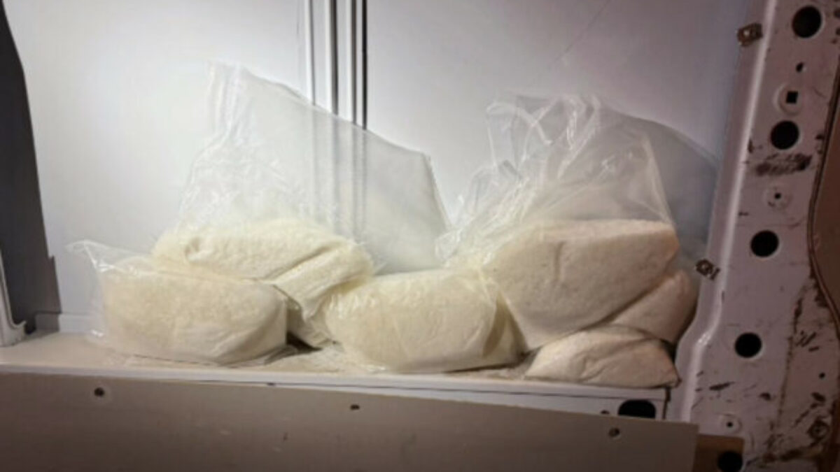 Obrovský drogový úlovok. Pes pomohol nájsť 50 kilogramov pervitínu, muž skončil v rukách polície – VIDEO