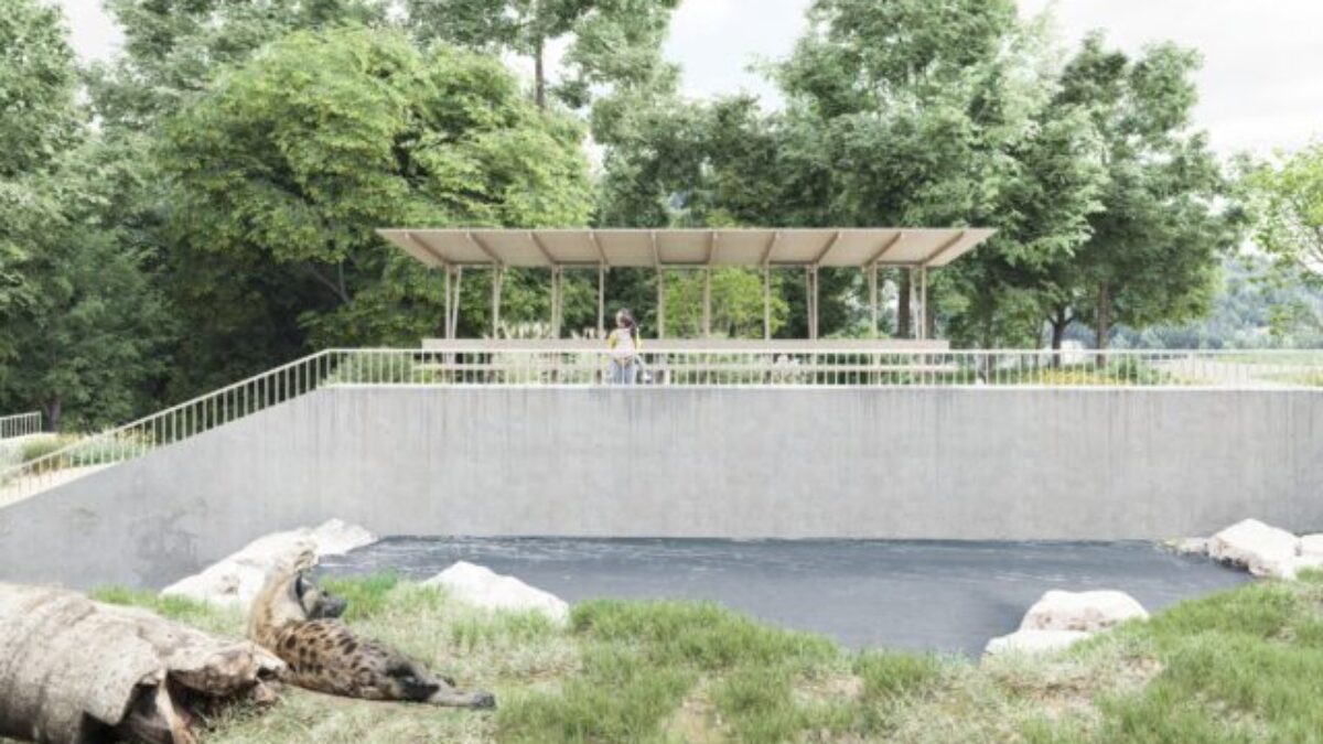 Bratislavská ZOO pripravuje nový výber pre hyeny, zameraný bude na bezpečie zvierat aj autentický zážitok-  FOTO