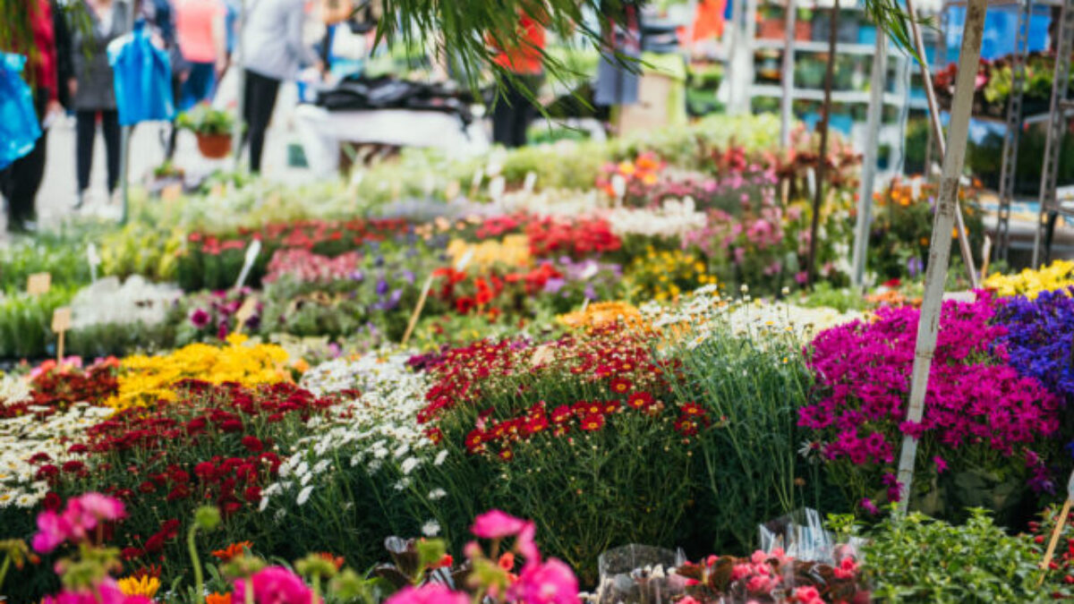 Do Nitry za nábytkom a kvetmi! Už 15.4. štartuje veľtrh Nábytok a Bývanie & Gardenia 2026