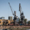Top foto dňa (9. máj 2026): Zimný prístav, tanker, antilopy bongo, Deň Európy a ...