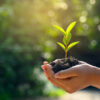 PlantHealth4Life – jednoduché kroky, ktoré chránia naše rastliny
