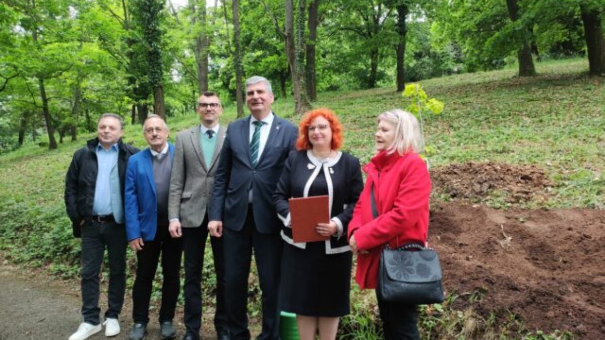Do Aleje významných osobností v košickej botanickej záhrade pribudol ďalší strom, vysadil ho slovinský veľvyslanec – VIDEO, FOTO