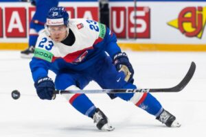 Slovensko podľa Adama Lišku doplatilo proti Slovinsku na vylúčenia, duel však oz...