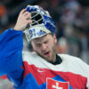 Český skaut brankárov by do NHL vzal Gajana. Hlavaj však v profilige nemá budúcn...